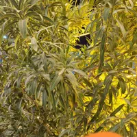 استخدام همکار خانم و آقا