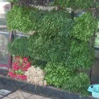 سبزی نیشابوروسبزیجات وصیفی جات بسته بندی نیشابور|خوردنی و آشامیدنی|مشهد, همت آباد|دیوار