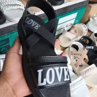 پخش اسپرت صندل و دمپایی  (فقط کارتنی)