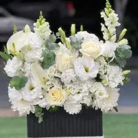 باکس زیبا خاص مناسبتی  کد ۱۲۹۳ گلاریس