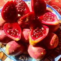 میوه کاکتوس