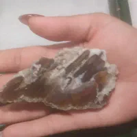 سنگ های عقیق و شجر