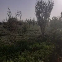فروش ۲۸۰۰ متری زمین واقع در روستای افشگرد|فروش دفتر صنعتی، کشاورزی، تجاری|محلات, |دیوار