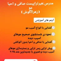 وورکشاپ یک روزه اپدیت احیا موهای اسیب دیده