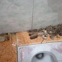 لوله بازکنی وچاه بازکنی شبانه روزی بافنروپمپ