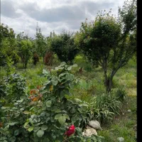 باغ ۲۵۰۰ متری روستای دودانگه