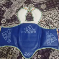 هوگو تکواندو