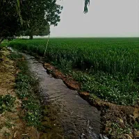 کارگر هستم برا ابیاری و کار کشاورزی