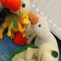 عروسک|اسباب‌بازی بچه|هشتگرد, شهرک ریحانه|دیوار