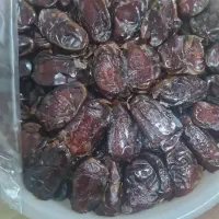 خرمای کبکاب صادراتی صد در صد ارگانیک