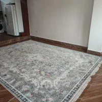 فرش 12 متری|فرش|بندرعباس, |دیوار