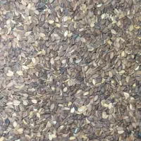 کنجی تمیز مل مس