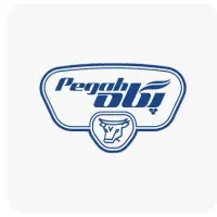 استخدام ویزیتور حضوری آقا . استهبان نیریز