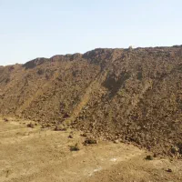 کود دامی فرآوری شده