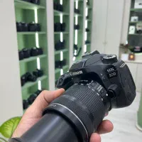 80D canon|دوربین عکاسی و فیلم‌برداری|قم, بلوار امین و ساحلی|دیوار