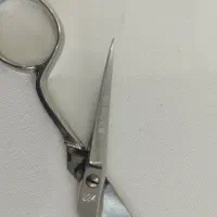 تعدادی قیچی|کلکسیون اشیاء عتیقه|شیراز, شهرک گلدشت حافظ‎|دیوار