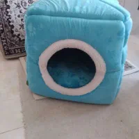 جای خواب پت