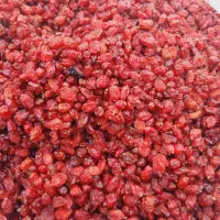 زرشک/زرشک پفکی/زرشک عمده|خوردنی و آشامیدنی|تهران, صد دستگاه|دیوار