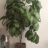 درخت مصنوعی|گل مصنوعی|خمینی‌شهر, |دیوار