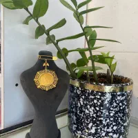 اجاره و فروش بدلیجات رنگ ثابت با کمترین قیمت|بدلیجات|شیراز, شهرک مهدی‌آباد|دیوار
