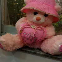 عروسک خرسی ولنتاین|اسباب‌‌بازی|رشت, فلسطین|دیوار