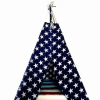 چادر سرخپوستی مخصوص پت های آپارتمانی