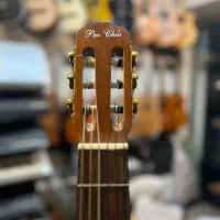 گیتار paochia|گیتار، بیس، امپلیفایر|پردیس, فاز ۳|دیوار