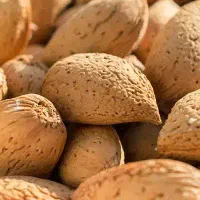 بادام سنگی و پوست کاغذی بش