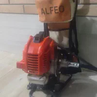 علف چین  و گندم چین نو