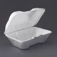 ظرف غذا یکبار مصرف