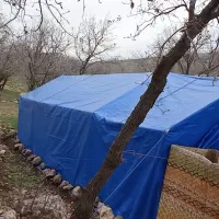 چادر|کوهنوردی و کمپینگ|چرداول, |دیوار