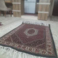 فرش زر نیم نخ مرینوس|فرش|زنجان, |دیوار