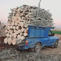 خریدانواع چوب درخت تیر سقفی صنوبرضایعات باغی اسلب