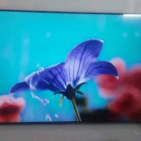 تلویزیون 55 الجی نانو 80 در حد نو