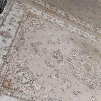 فرش|فرش|مشهد, شفا|دیوار