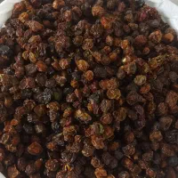 آلوچه و آلبالو|خوردنی و آشامیدنی|مشهد, کارمندان دوم|دیوار