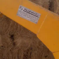 بیل و آسیاب