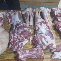 ذبح گوسفند و گوساله|خدمات پذیرایی، مراسم|باسمنج, |دیوار