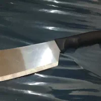 ساتور ژاپن اصل