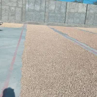 فروش انواع پسته ارگانیک دامغان مستقیم/بدون واسطه|خوردنی و آشامیدنی|تهران, تهران‌ویلا|دیوار