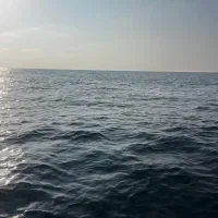 ماهیگیری با قایق