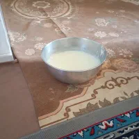 سلام ‌فروش‌گاو‌باگوساله‌وشتر|حیوانات مزرعه|میناب, |دیوار