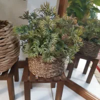 ۲عدد گیاه و گل مصنوعی|گل مصنوعی|بومهن, |دیوار