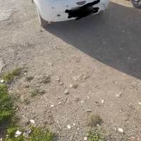 حواله سهند اطلس