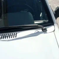 پرایدمدل 80|خودرو سواری و وانت|بیرجند, |دیوار