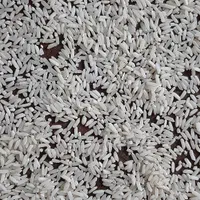 برنج عنبر بو شوشتر احمدی قیمت خرده فروشی|خوردنی و آشامیدنی|اصفهان, پروین|دیوار