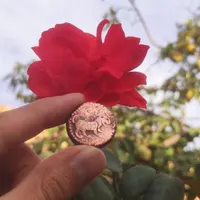 انواع سکه قدیمی|کلکسیون سکه، تمبر، اسکناس|مرند, |دیوار