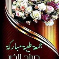 نیروی نظافت و خدمات