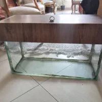 دو عدد اکواریوم سالم و بدون شکستگی