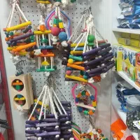 اسباب بازی پرنده عمده